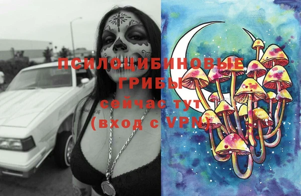индика Дмитровск