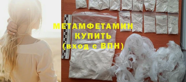 индика Дмитровск