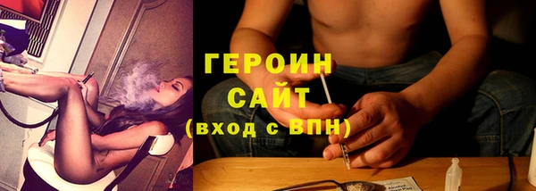 индика Дмитровск