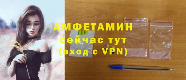 индика Дмитровск