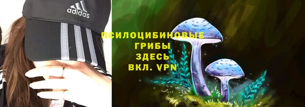 индика Дмитровск