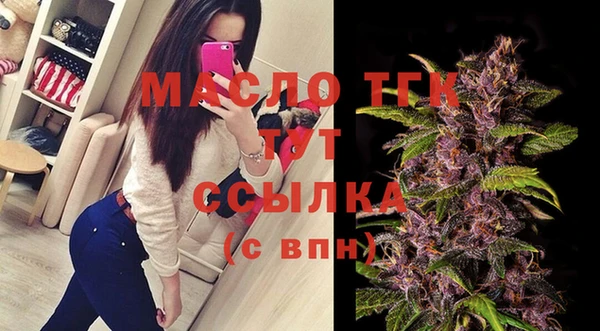 соль ск Дмитров