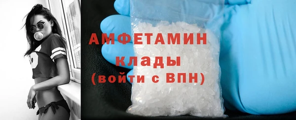 соль ск Дмитров