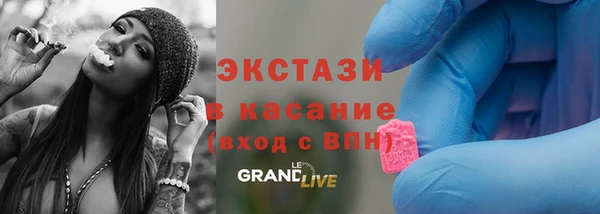 индика Дмитровск