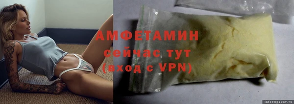 индика Дмитровск