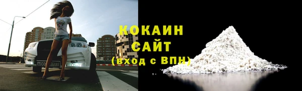 индика Дмитровск