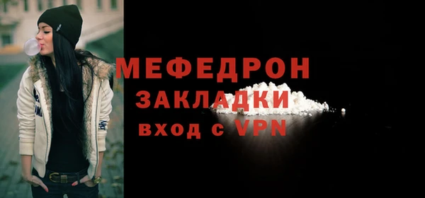 индика Дмитровск