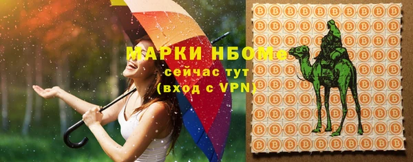 индика Дмитровск