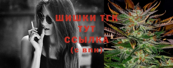 спайс Дмитриев