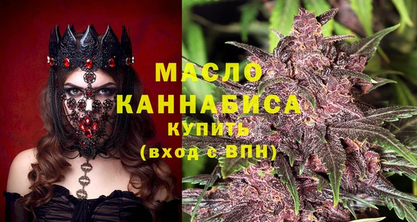 индика Дмитровск