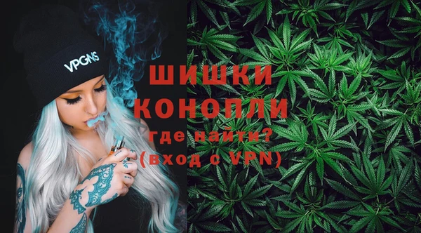 спайс Дмитриев