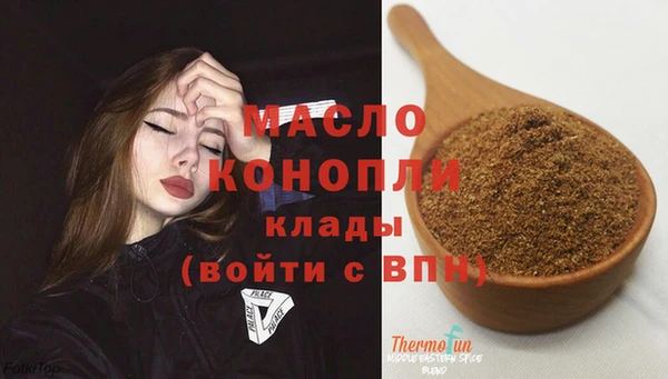 индика Дмитровск