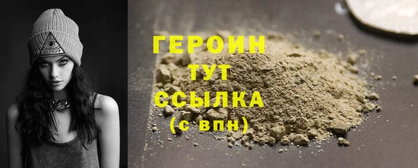индика Дмитровск
