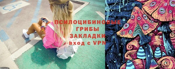 индика Дмитровск