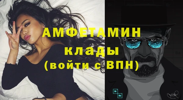 индика Дмитровск