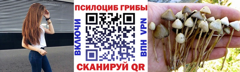 Псилоцибиновые грибы GOLDEN TEACHER  Орск 